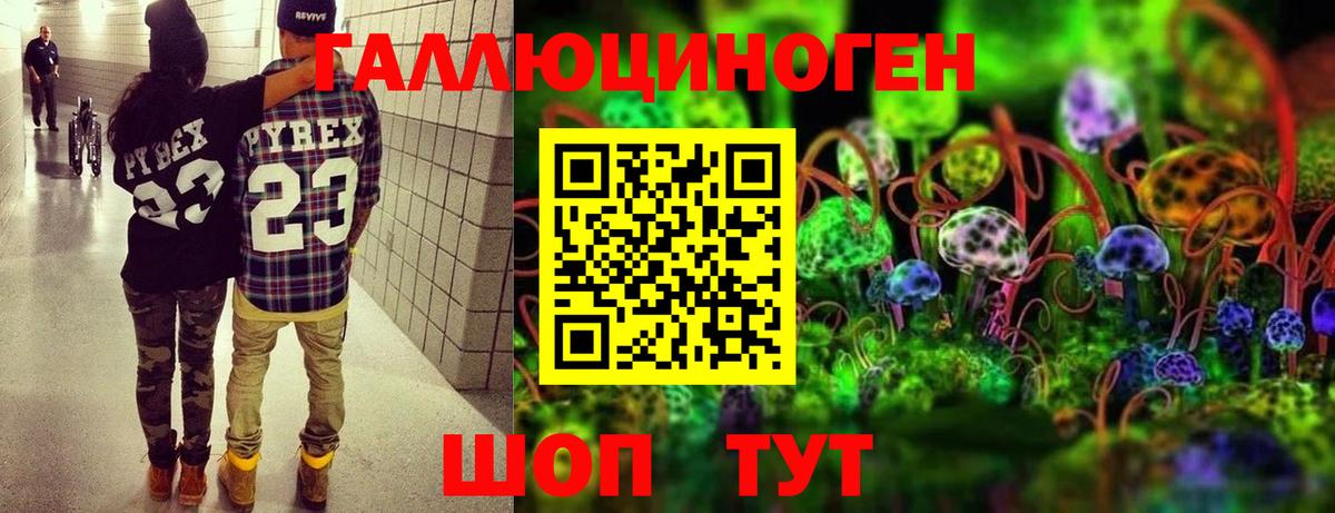 Галлюциногенные грибы GOLDEN TEACHER Красноперекопск