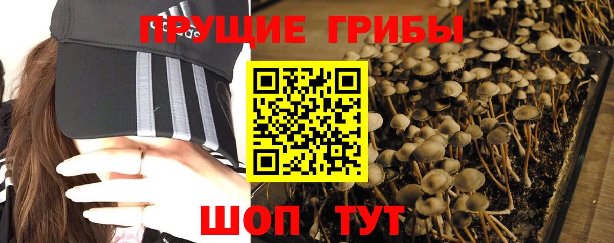 Галлюциногенные грибы GOLDEN TEACHER  Галлюциногенные грибы Magic Shrooms  Красноперекопск  Вход с VPN 